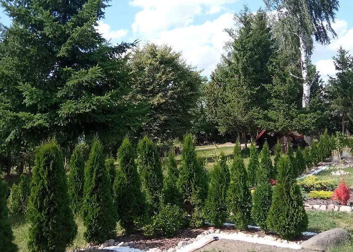 Agroturystyka Makowscy * Trzcianka (Czarnkow-Trzcianka)